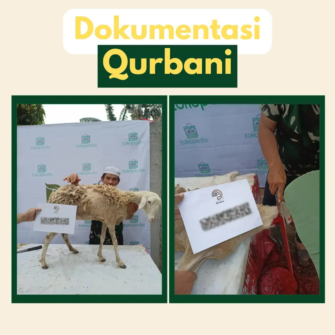 Foto Sebelum dan Saat Pemotongan disertai dengan nama pequrban